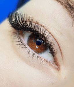 Lashprovocator