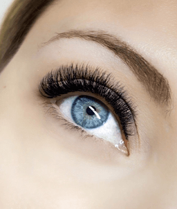 Lashprovocator