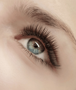 Lashprovocator