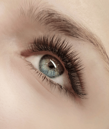 Lashprovocator
