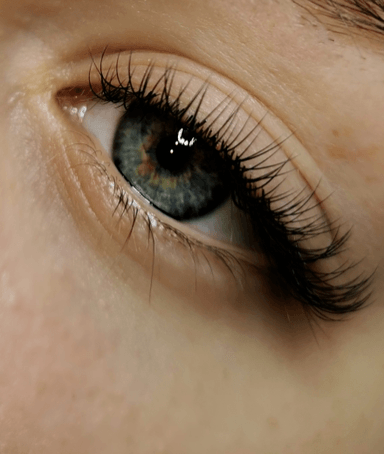 Lashes by Roze