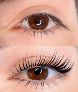 BROW ROOM IMANTA