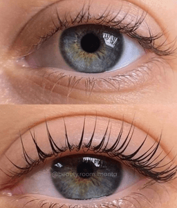 BROW ROOM IMANTA