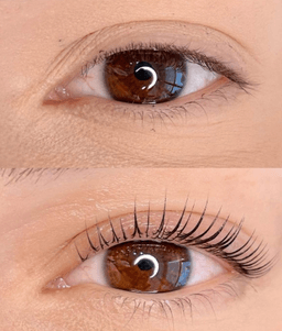 BROW ROOM IMANTA