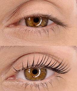 BROW ROOM IMANTA