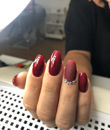 Lina_snails