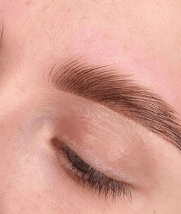 BROW ROOM IMANTA
