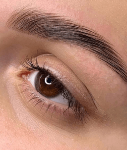BROW ROOM IMANTA