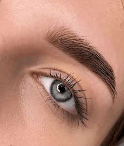 BROW ROOM IMANTA