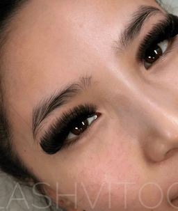 Lashvitoo