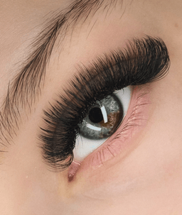 Lashvitoo