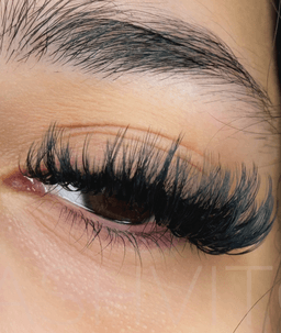 Lashvitoo