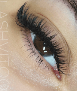 Lashvitoo