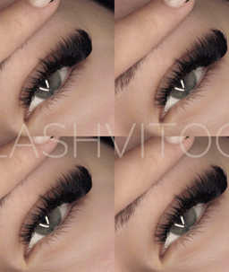 Lashvitoo