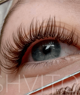 Lashvitoo