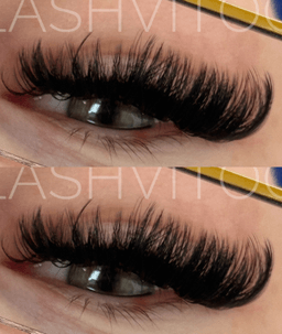 Lashvitoo