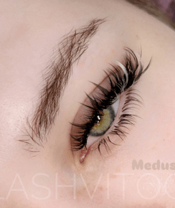 Lashvitoo