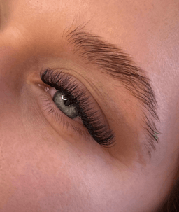 MVP Lashes