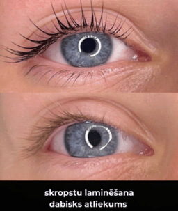 Inga Pāvula I.P.erfect.lv