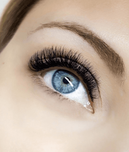Lashprovocator
