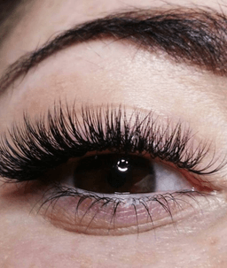 BS lashes