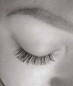 BS lashes