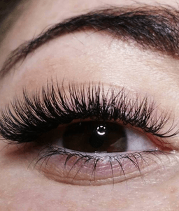 BS lashes