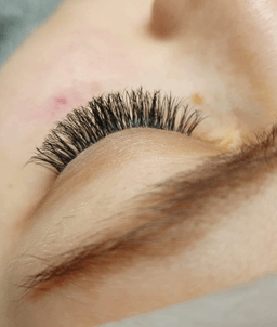 BS lashes