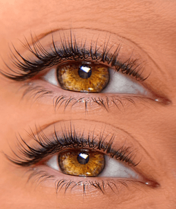 themaria.brows