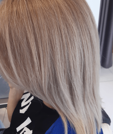 salon BIZE