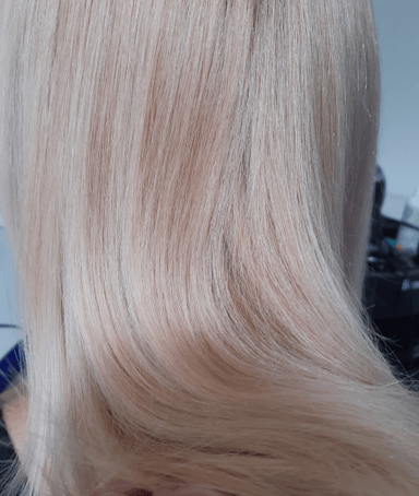 salon BIZE