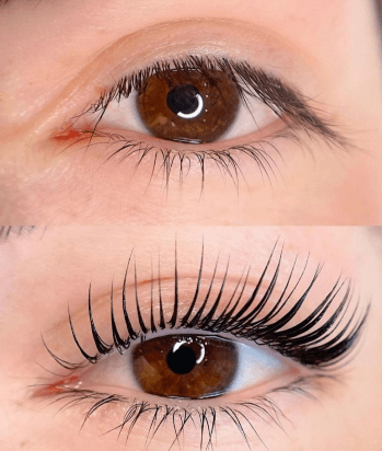BROW ROOM IMANTA