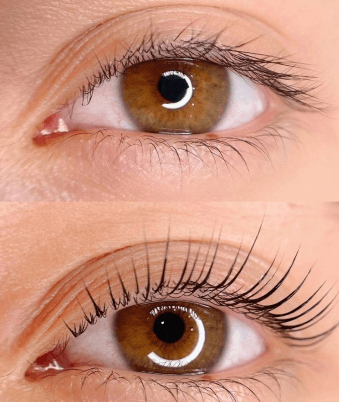 BROW ROOM IMANTA