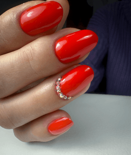 cat_nail_riga