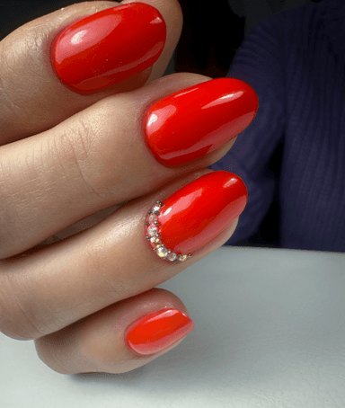 cat_nail_riga