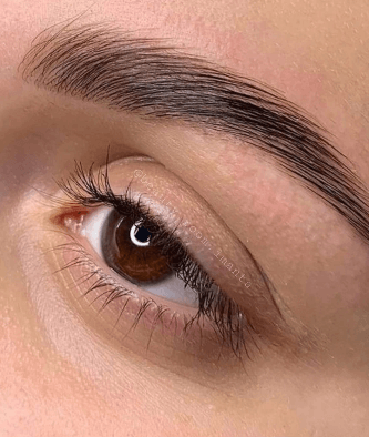 BROW ROOM IMANTA