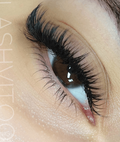 Lashvitoo