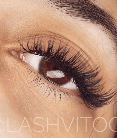 Lashvitoo