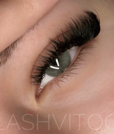 Lashvitoo
