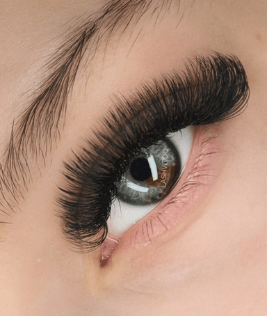 Lashvitoo