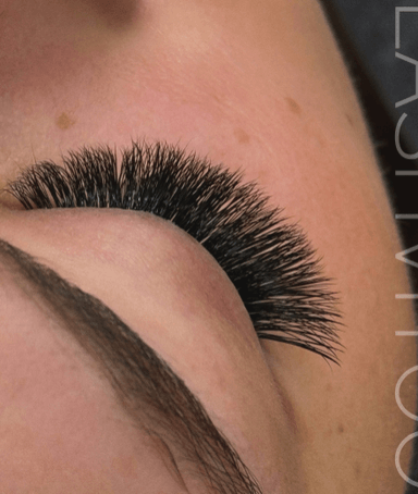 Lashvitoo