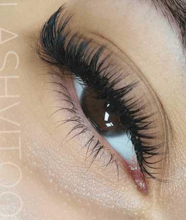Lashvitoo
