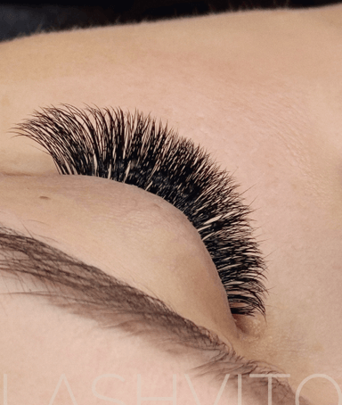 Lashvitoo