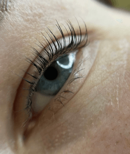 kri_lashbrow