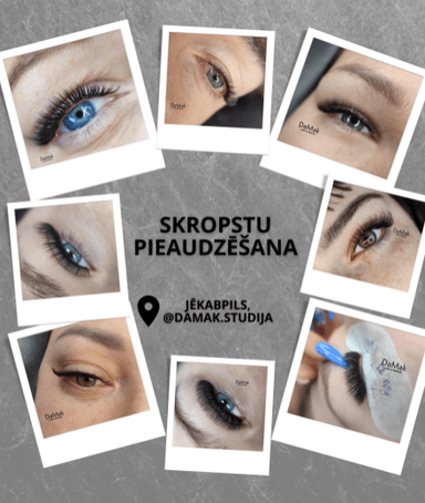 DaMak.Studija