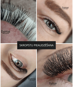 DaMak.Studija