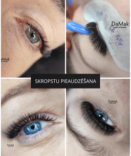 DaMak.Studija