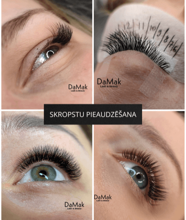 DaMak.Studija