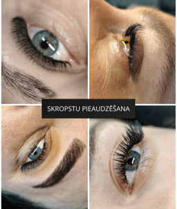 DaMak.Studija
