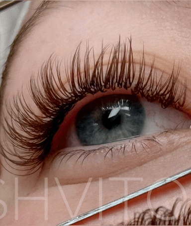 Lashvitoo